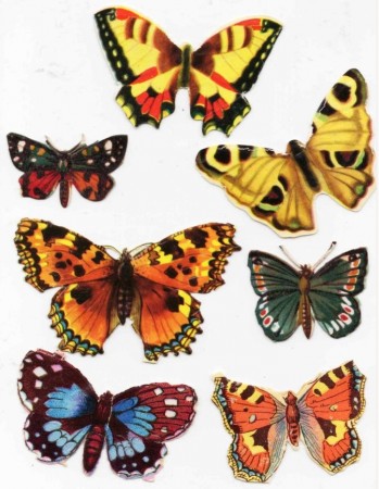 Antikke glansbilder - sommerfugler