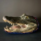 The best head in town Utstoppet krokodillehode Alligator - Joel Smith`s alligator team thumbnail