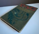HJEMMET 31. årgang 1906 innbundet samling av magasiner - Kristiania S. Mittets Forlag Bogtrykkeri thumbnail