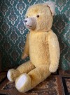 Stor gul bamse teddybjørn thumbnail