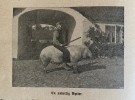 HJEMMET 31. årgang 1906 innbundet samling av magasiner - Kristiania S. Mittets Forlag Bogtrykkeri thumbnail