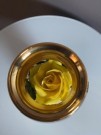 En gul svensk rose - ett luxigt rosarium thumbnail