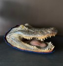 The best head in town Utstoppet krokodillehode Alligator - Joel Smith`s alligator team thumbnail