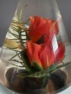 Kitsch roseskjul thumbnail