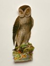 Antikk glansbilde ugle/ fuglemotiv 1900-1930 tallet thumbnail