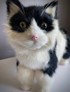 Naturtro/ lifelike svart og hvit katteleke/ figur  thumbnail
