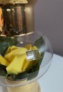 En gul svensk rose - ett luxigt rosarium thumbnail