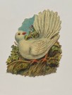Antikk glansbilde due fuglemotiv 1900-tallet thumbnail