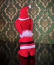 Juledekor kitschy rød plysj/ plush hund med nisselue - Japan 1960 tallet thumbnail