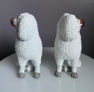 Antikke Staffordshire hundefigurer i porselen - England, 1900 tallet thumbnail