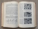 Husmorboka Landslaget for husstell lærerinner Olga Ambjørnrud Cappelens Forlag 10.opplag OSLO 1958 thumbnail