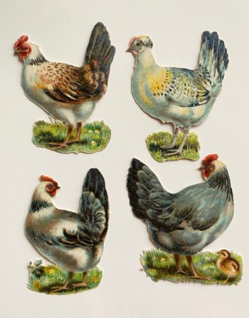 Antikke glansbilder høner fuglemotiv 1900-tallet