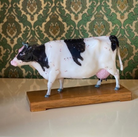 Kinesisk medisin undervisning akupunktur anatomiskmodell ku